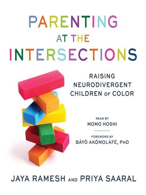 cover image of Parenting at the Intersections